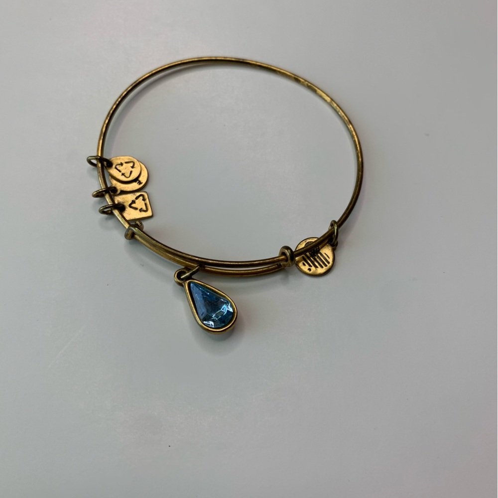 Alex and Ani Blue Charm Bracelet